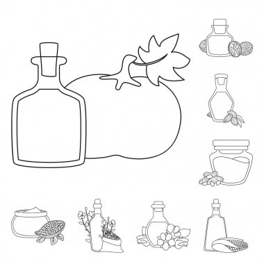 Sağlıklı ve sebze simgesivektör illüstrasyon. Sağlıklı ve organik stok vektör illüstrasyon koleksiyonu.