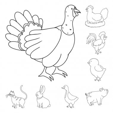 Ev yapımı ve kırsal simge vektör tasarımı. Web için ev yapımı ve tarım stok sembolü seti.