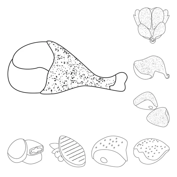 Ilustración vectorial de alimentos e icono a la parrilla. Colección de alimentos y aves vector de stock ilustración . — Archivo Imágenes Vectoriales
