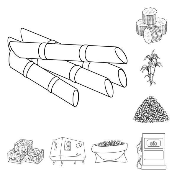 Disegno vettoriale dello zucchero e simbolo del campo. Set di simboli dello zucchero e dello stock di piantagione per il web . — Vettoriale Stock