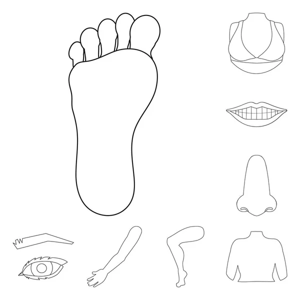 Vectorillustratie van lichaam en deel logo. Set van lichaam en anatomie vector pictogram voor voorraad. — Stockvector