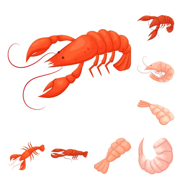 Ilustración vectorial del símbolo de camarones y cangrejos. Colección de camarones y caldo de mar símbolo para la web . — Vector de stock