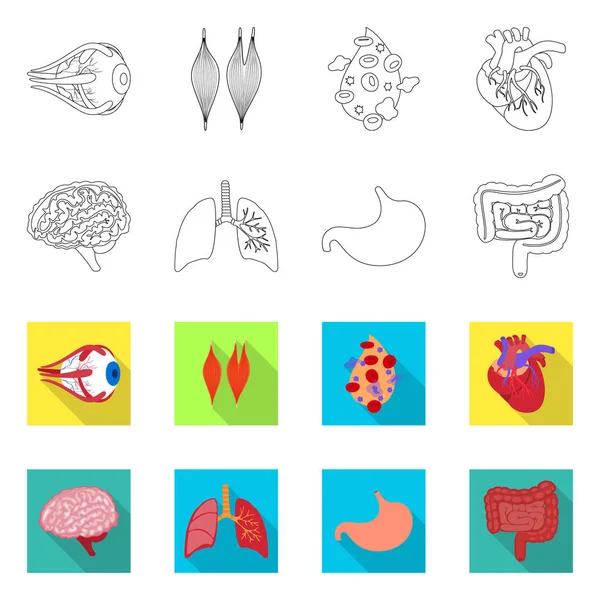 生物学や科学のロゴの孤立したオブジェクト。生物学研究所 web 株式記号のセット. — ストックベクタ