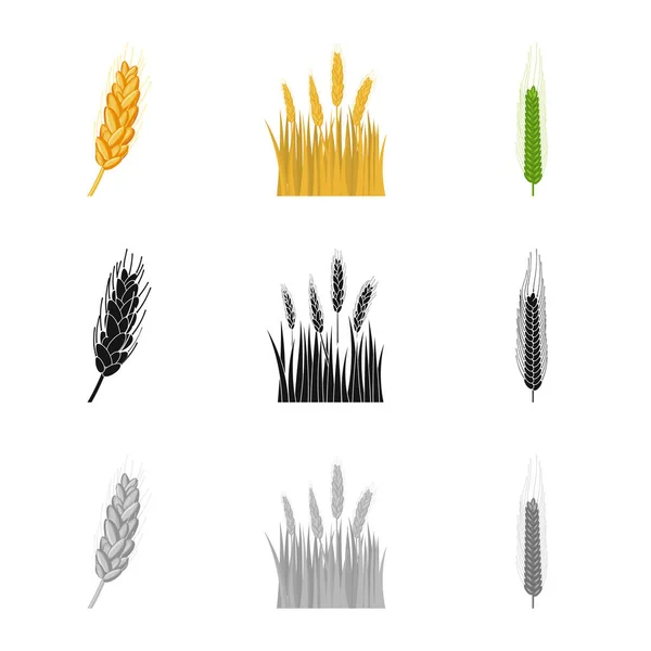 Progettazione vettoriale dell'agricoltura e logo agricolo. Raccolta del simbolo dello stock agricolo e vegetale per il web . — Vettoriale Stock