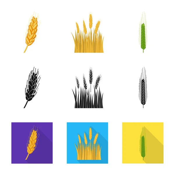Ilustração vetorial da agricultura e sinalização agrícola. Coleta da agricultura e ilustração vetorial do estoque vegetal . — Vetor de Stock