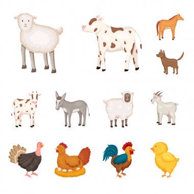 Çiftlik ve gıda sembolü vektör illüstrasyon. Stok için çiftlik ve kırsal vektör simgesinin toplanması.