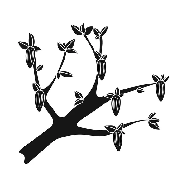 Vektordesign von Baum und Schokoladensymbol. Set von Baum und Plantage Vektor Illustration. — Stockvektor