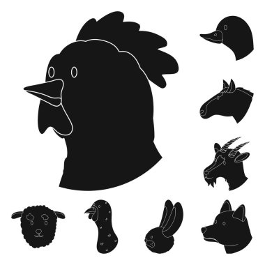 Çiftlik vektör tasarımı ve organik logo. Stok için çiftlik ve baş vektör simgesinin toplanması.