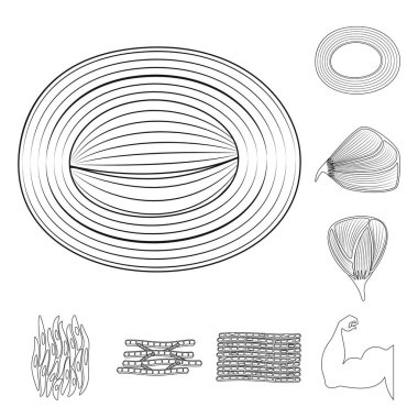 Lif ve kas simge vektör Illustration. Web için lif ve vücut hisse senedi simgesi kümesi.