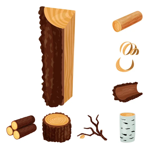 Isolerat föremål av skylt och trä logotyp. Insamling av skylt-och trä lager symbol för webb. — Stock vektor