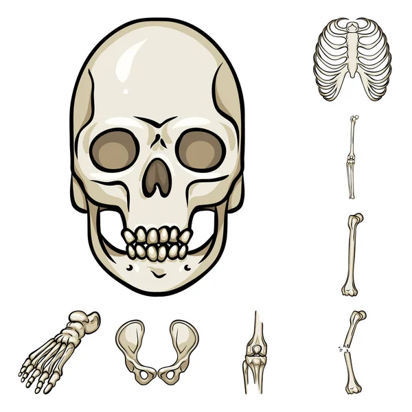 뼈와 해골 로고의 고립 된 개체입니다. 웹에 대 한 뼈와 인간의 주식 기호 집합. — 스톡 벡터