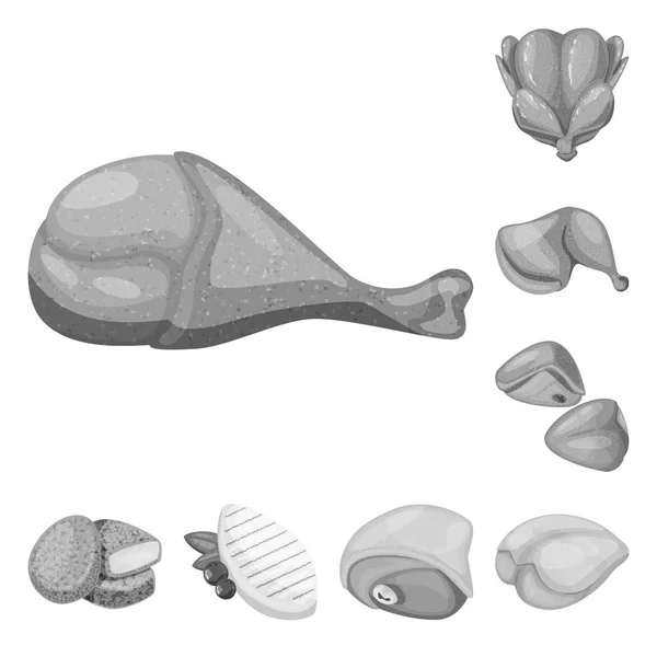 요리와 새 기호의 고립 된 개체입니다. 주식 에 대한 요리와 가금류 벡터 아이콘의 컬렉션. — 스톡 벡터