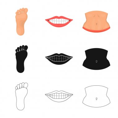 Vücut ve bölümü logo vektör tasarımı. Hisse senedi için vücut ve anatomi vektör simge topluluğu.