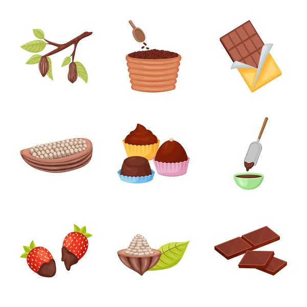 Ilustración vectorial del signo de cacao y frijoles. Colección de cacao y dulzura símbolo de stock para la web . — Archivo Imágenes Vectoriales