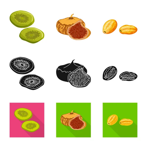 Diseño vectorial de alimentos e icono crudo. Colección de alimentos y naturaleza vector de stock ilustración . — Vector de stock