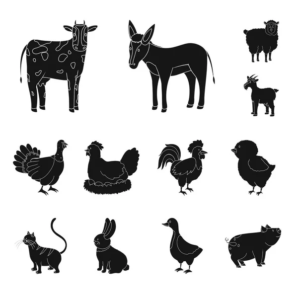 Ilustración vectorial de rancho e icono orgánico. Colección de rancho y vector de alimentos icono para stock . — Vector de stock