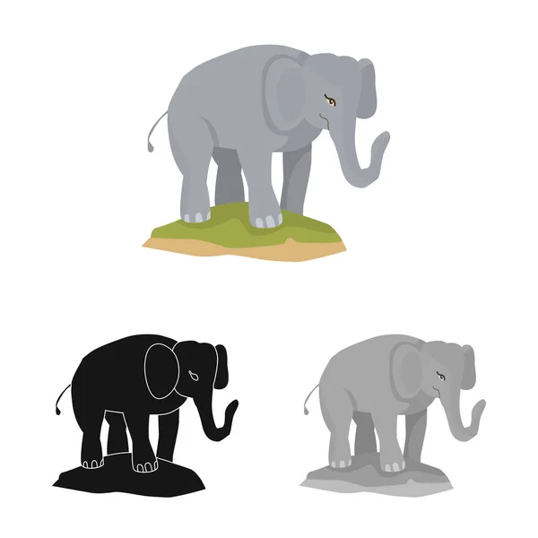 Ilustración vectorial de elefante y lindo signo. Colección de elefante y África icono vectorial para stock . — Vector de stock