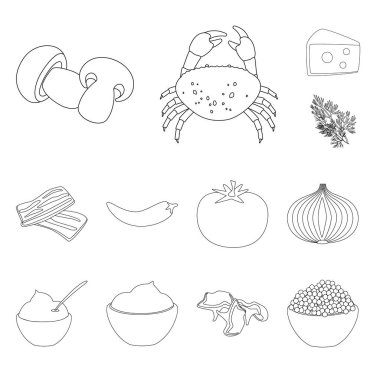 Seasonin ve madde logosu vektör illüstrasyon. Seasonin ve aroma stok vektör illüstrasyon seti.