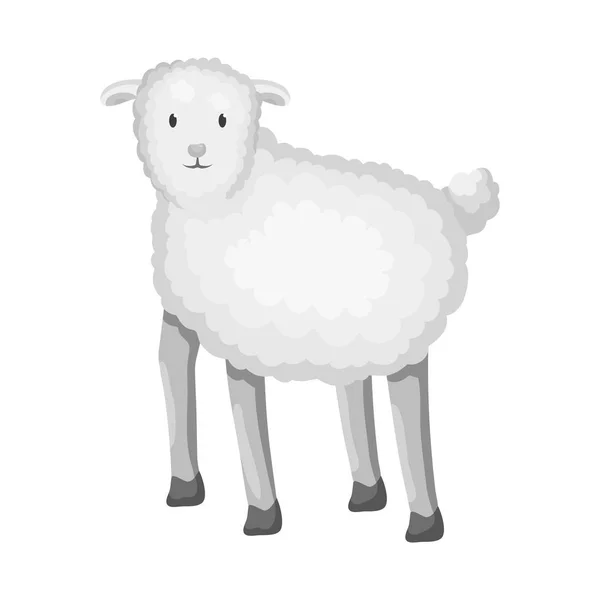羊とアニマシンボルのベクトルデザイン。ストック用羊と子羊ベクトルアイコンのセット. — ストックベクタ