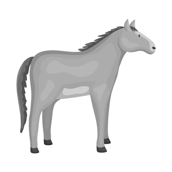 Ilustración vectorial de caballo y animal icono. Colección de ilustración de vectores de caballos y ganado de cría . — Archivo Imágenes Vectoriales