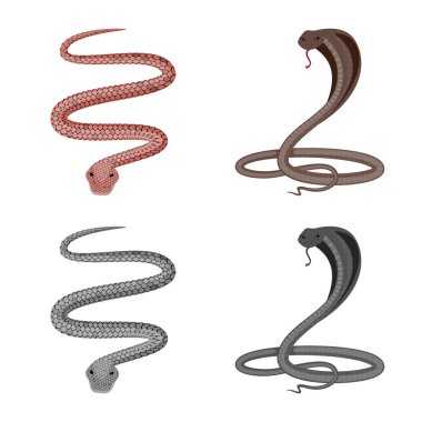 Mammal ve tehlike işareti vektör tasarımı. Memeli ve tıp hisse senedi vektör çizim seti.