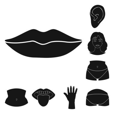 Vücut ve bölüm işareti yalıtılmış nesne. Vücut ve anatomi hisse senedi simgesi için web topluluğu.