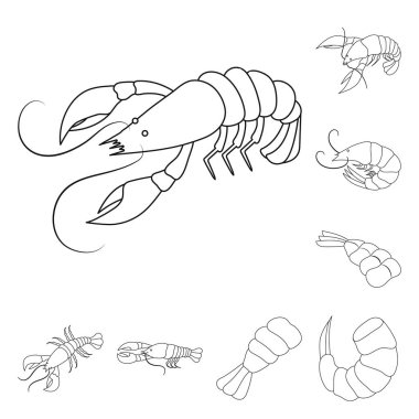 Gıda ve deniz logosu vektör illüstrasyon. Web için gıda ve hayvan stok sembolü seti.