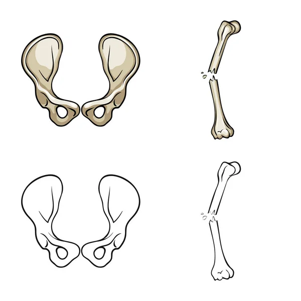 Vector ontwerp van geneeskunde en kliniek symbool. Set van geneeskunde en medische vector pictogram voor voorraad. — Stockvector