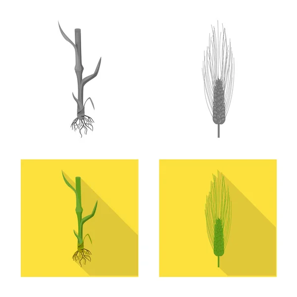Diseño vectorial de la agricultura y signo agrícola. Colección de símbolos agrícolas y vegetales para la web . — Vector de stock