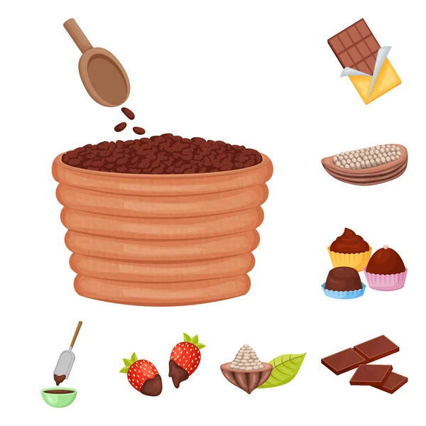 Vektor illustration av kakao och bönor symbol. Insamling av kakao och sötma vektor ikon för lager. — Stock vektor