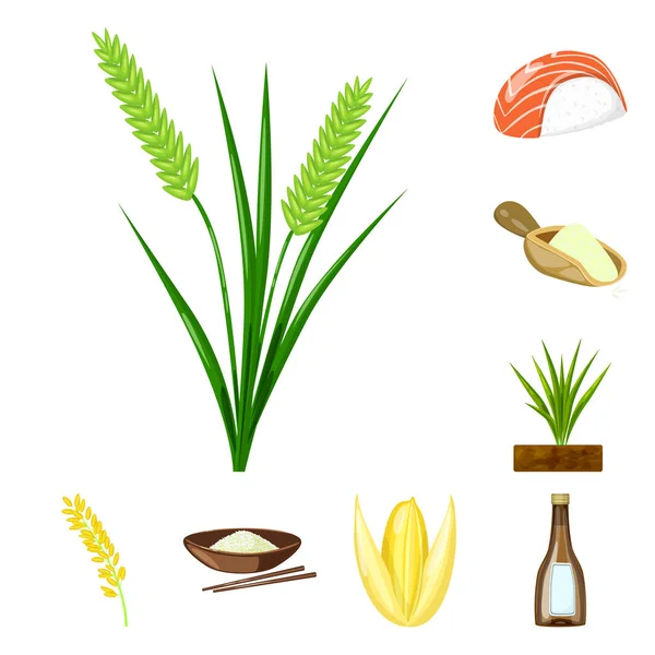 Vector illustration of food and organic sign. Collection of food and agricultural stock vector illustration. — Stock Vector