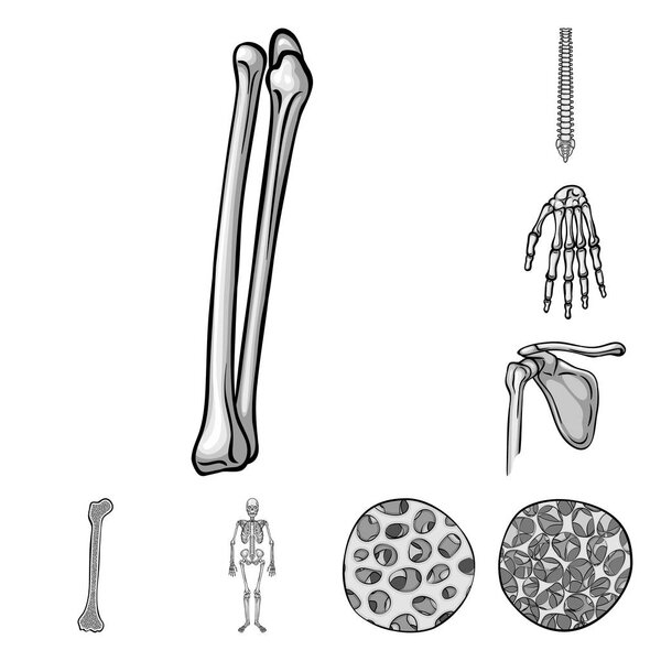 Векторная иллюстрация биологии и медицинской иконы. Коллекция биологии и векторных иллюстраций скелетов
.