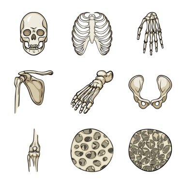 Kemik ve iskelet simge vektör tasarımı. Kemik ve insan stok vektör çizim koleksiyonu.