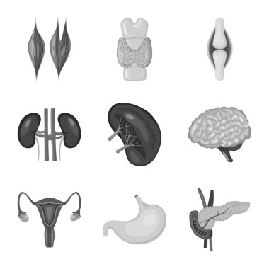 İç ve tıbbi sembolün izole nesnesi. İç ve sağlık stok vektör illüstrasyon seti.