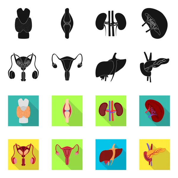 Diseño vectorial de biología y logotipo científico. Colección de biología y símbolo de stock de laboratorio para web . — Archivo Imágenes Vectoriales