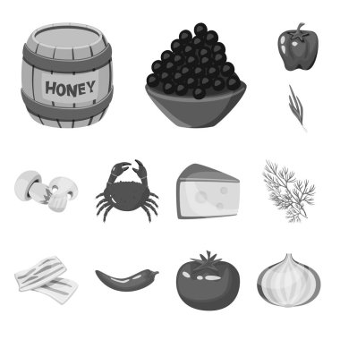 Baharat ve aroma simgesi vektör illüstrasyon. Stok için baharat ve ürün vektör simgesi seti.