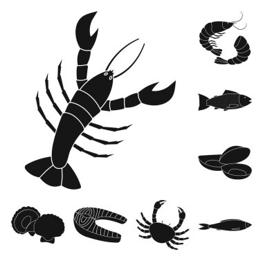 Pazar ve deniz logo yalıtılmış nesne. Web için Pazar ve deniz hisse senedi simgesi kümesi.