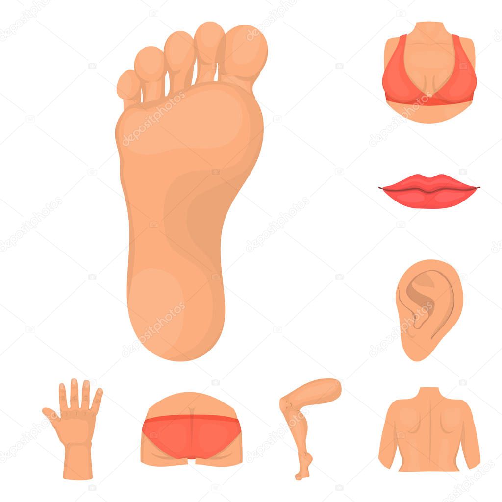 Vector design of body and part logo. Collection of body and anatomy vector icon for stock.