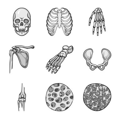 Biyolojinin izole nesnesi ve tıbbi ikon. Stok için biyoloji ve iskelet vektör simgesi koleksiyonu.
