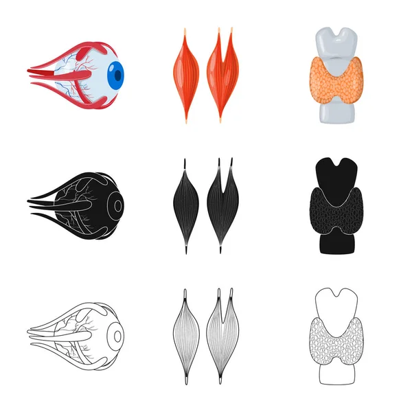 Biyoloji ve bilimsel işareti yalıtılmış nesne. Hisse senedi için biyoloji ve laboratuvar vektör simge topluluğu.