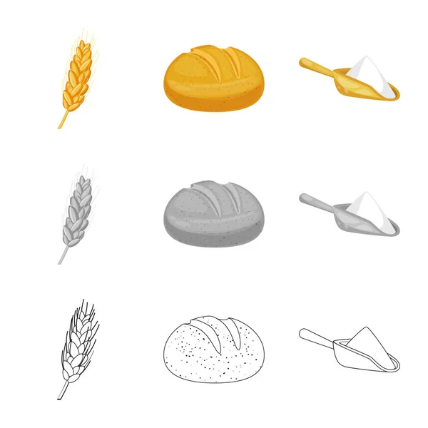 Ilustración vectorial del icono agrícola y agrícola. Colección de agricultura e icono de vector vegetal para stock . — Vector de stock