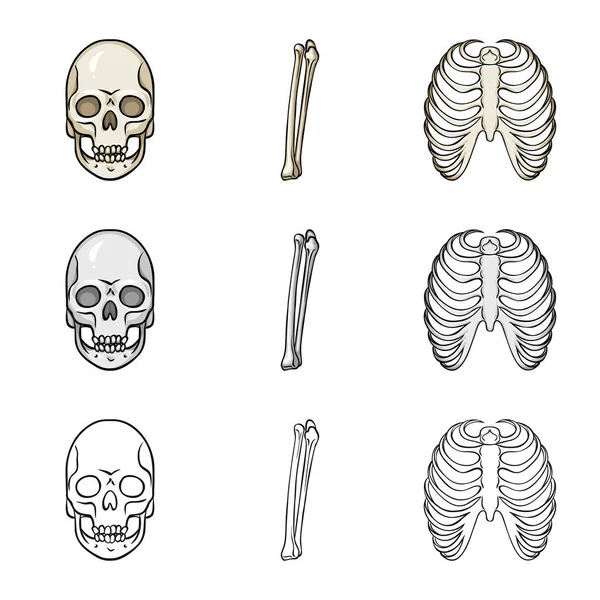 Tıp ve klinik simge vektör Illustration. Tıp ve hisse senedi için tıbbi vektör simge kümesi.