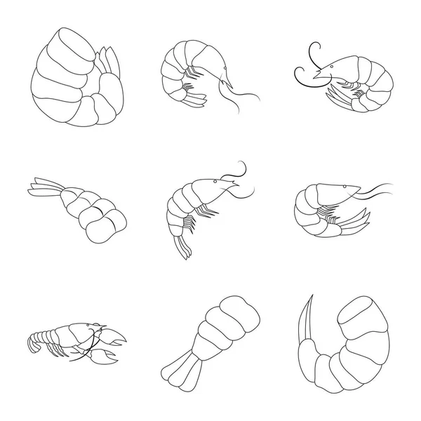 음식과 바다 로고의 고립 된 개체입니다. 주식에 대한 식품 및 동물 벡터 아이콘의 집합. — 스톡 벡터