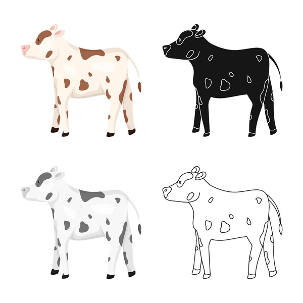 牛とハイファーシンボルのベクトルデザイン。在庫のための牛とミルクベクトルアイコンのセット. — ストックベクタ