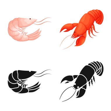 Meze ve okyanus simge vektör tasarımı. Meze ve incelik hisse senedi simgesi için web topluluğu.