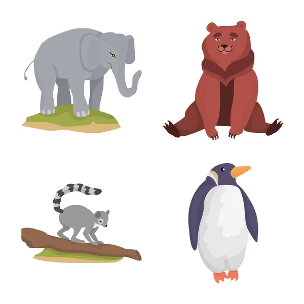 Vector illustration of zoo  and park symbol. Set of zoo  and animal stock vector illustration. — Stock Vector