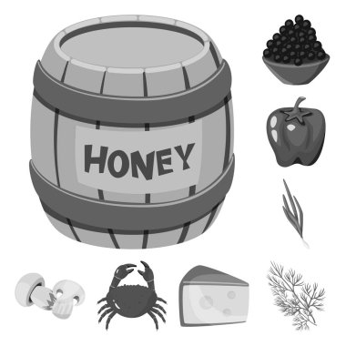 Baharat ve aroma işareti vektör tasarımı. Baharat ve ürün stok vektör illüstrasyon koleksiyonu.