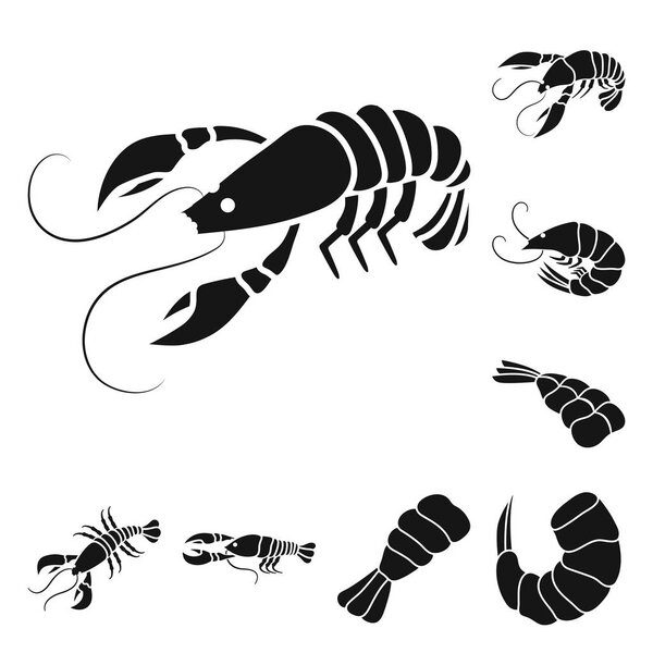 Изолированный предмет мяса и знак деликатности. Набор мясных и крабовых запасов для паутины
.