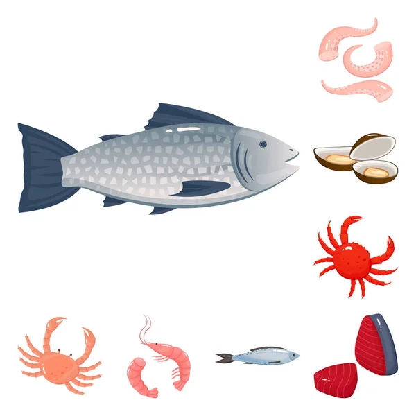 Projeto vetorial de comida e logotipo do mar. Conjunto de alimentos e símbolo de estoque saudável para web . —  Vetores de Stock
