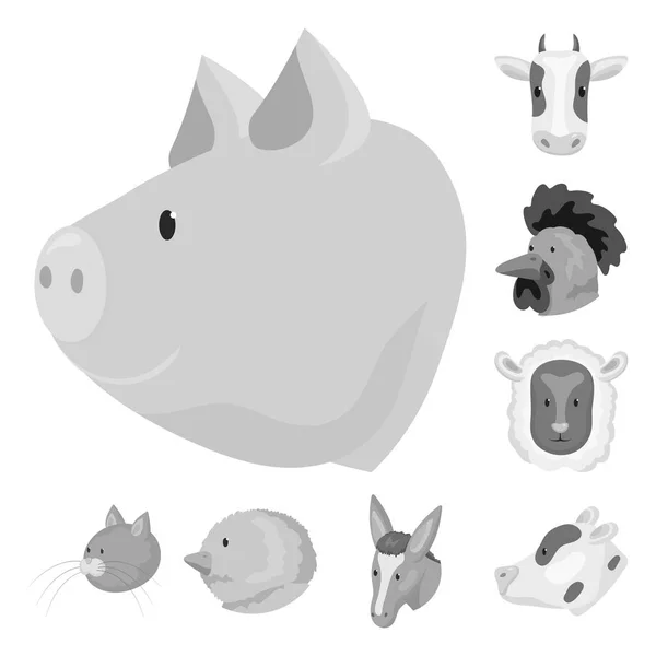 Objeto aislado del campo y el icono de la granja. Conjunto de ilustración vectorial del campo y del stock reproductor . — Vector de stock